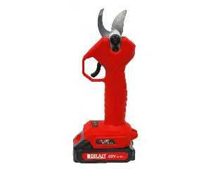 https://fdbrait.ru/image/cache/catalog/SEKATOR/BCP25-2V/%20%20BCP25-2V%20(6)-1500x1200.jpg