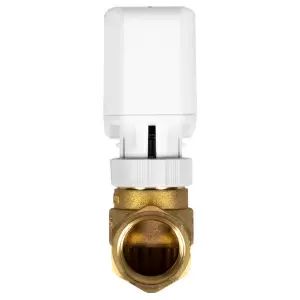 https://rkcdn.ru/products/47b26caa-3ee6-11ef-b8d9-00505601218a/src.jpg